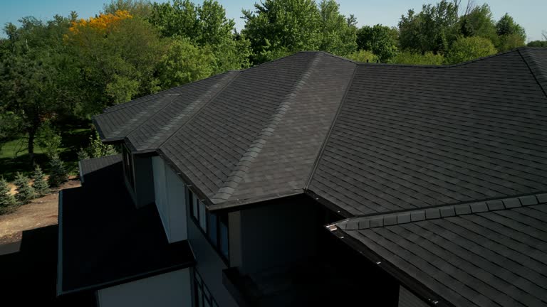 Best Roof Moss and Algae Removal  in Clearwater, MN