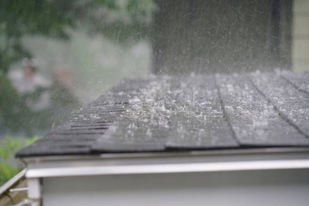 Best Sheet Metal Roofing  in Clearwater, MN