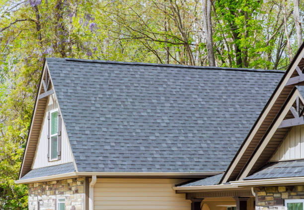 Best Asphalt Shingle Roofing  in Clearwater, MN